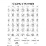 Anatomy Of The Heart Word Search   Wordmint   Printable Grey's Anatomy Crossword Puzzles