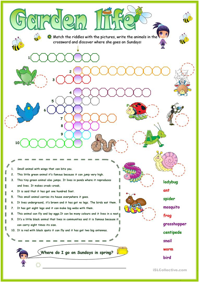 Animals In The Garden Crossword Worksheet - Free Esl Printable - Printable Garden Crosswords