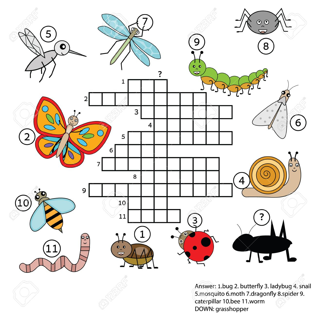 Insect Crossword Puzzle Printable Printable Crossword Puzzles