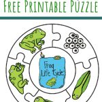 Frog Life Cycle Printable Puzzle | Pre School | Frog Life, Lifecycle   Printable Puzzle For Preschool