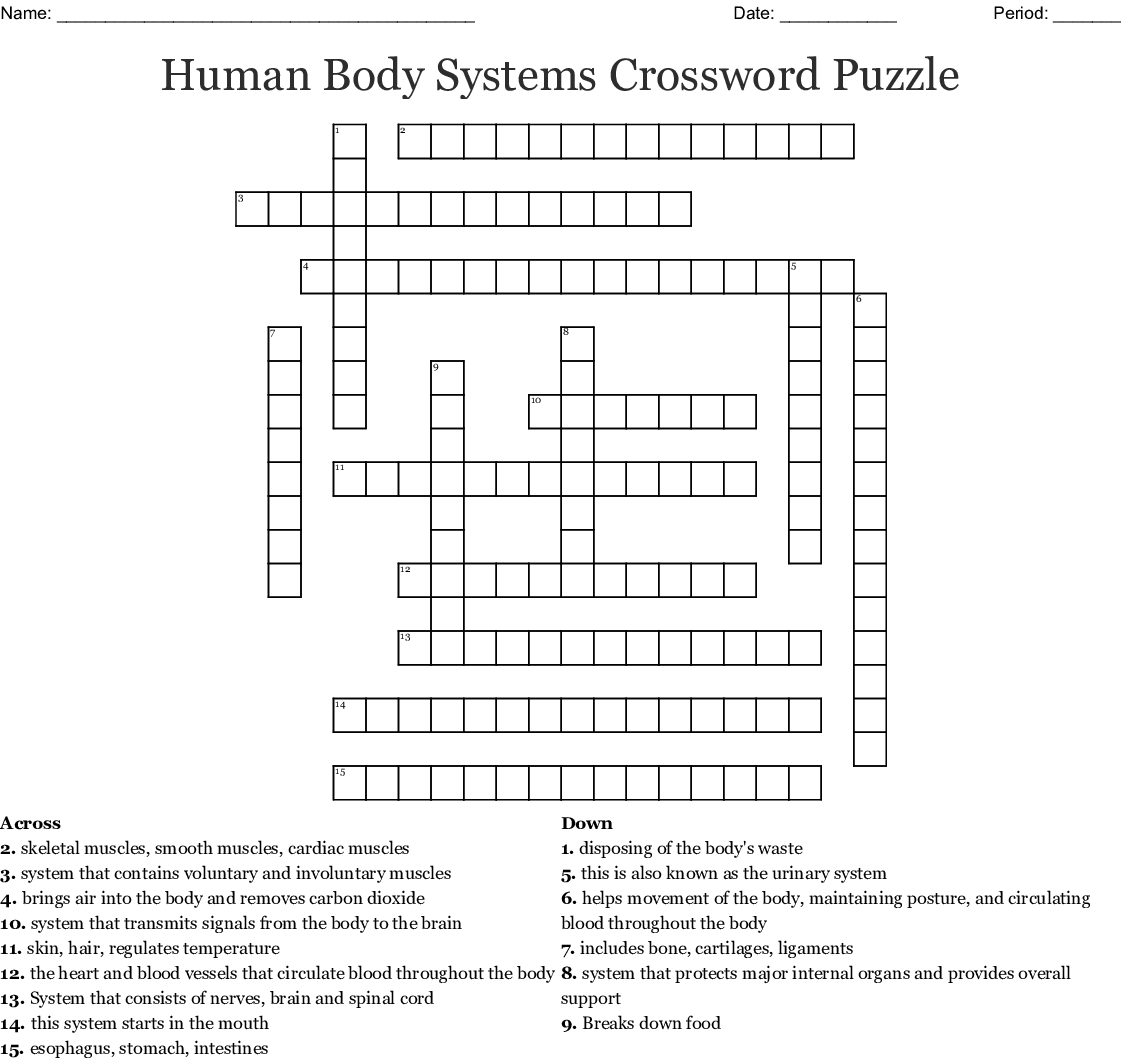 Human Body Systems Crossword Puzzle Wordmint Gambaran