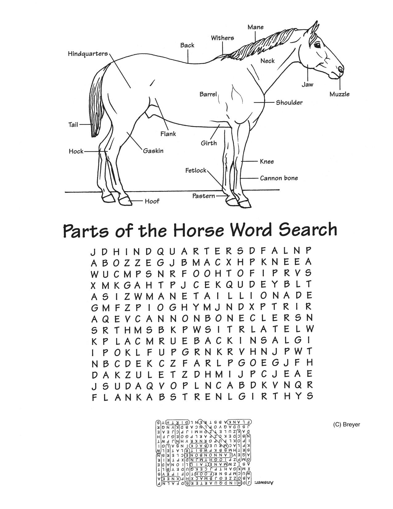 Jackpot Of Several Free Printables For Horse Lovers And - Printable Horse Crossword Puzzles