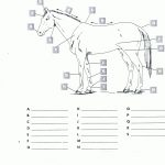 Pincindy Dillingham On Homeschool Highschool | Horses, Horseback   Printable Horse Puzzle