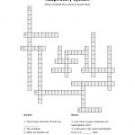 Respiratory System Crossword Puzzle | Educative Puzzle For Kids   Printable Buzzword Puzzles