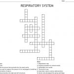 Respiratory System Crossword   Wordmint   Respiratory System Crossword Puzzle Printable