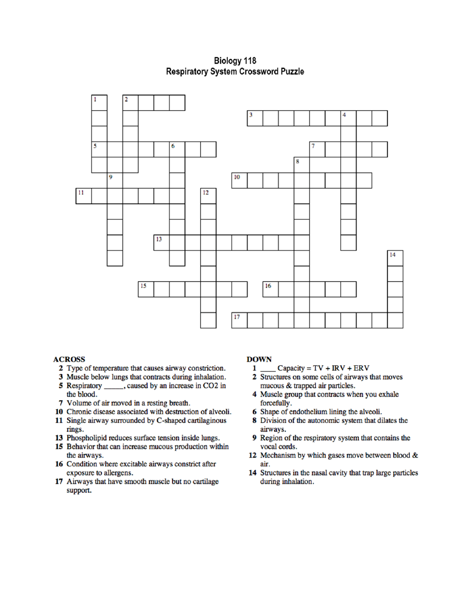 Respiratory Systems Crossword For Word Therapy | Dear Joya - Respiratory System Crossword Puzzle Printable