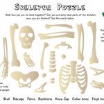 The Superveges   Vitamins And Minerals For A Healthy Body: Free   Printable Skeleton Puzzle